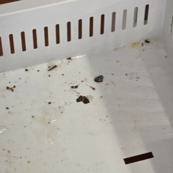 Before Cleaning