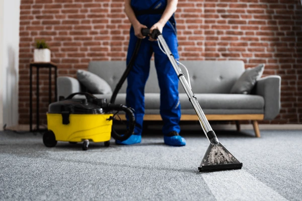 Professional Cleaning Team